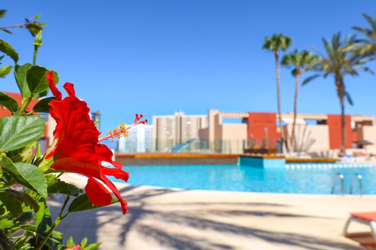Chill In Paradise Playa Paraiso  Exterior foto